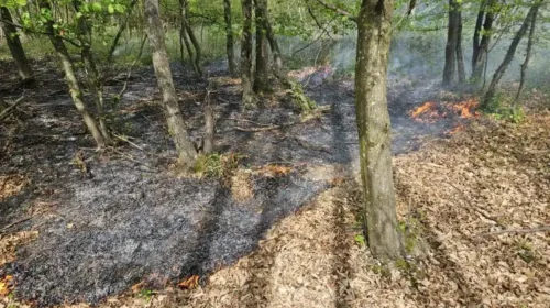 Freiwillige Feuerwehr der Stadt Landshut