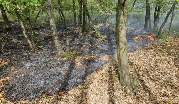Freiwillige Feuerwehr der Stadt Landshut