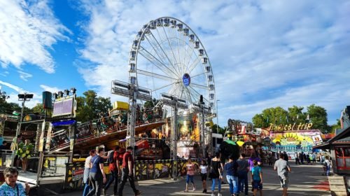 Bartlmädult Landshut 2022