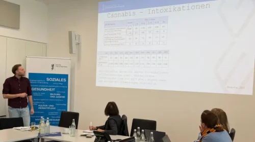 Cannabis-Teillegalisierung: Risiken und Auswirkungen auf die Bezirkskliniken im Blick