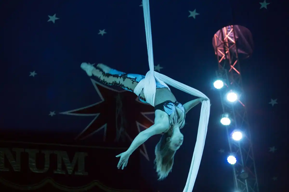 Circus Barnum
