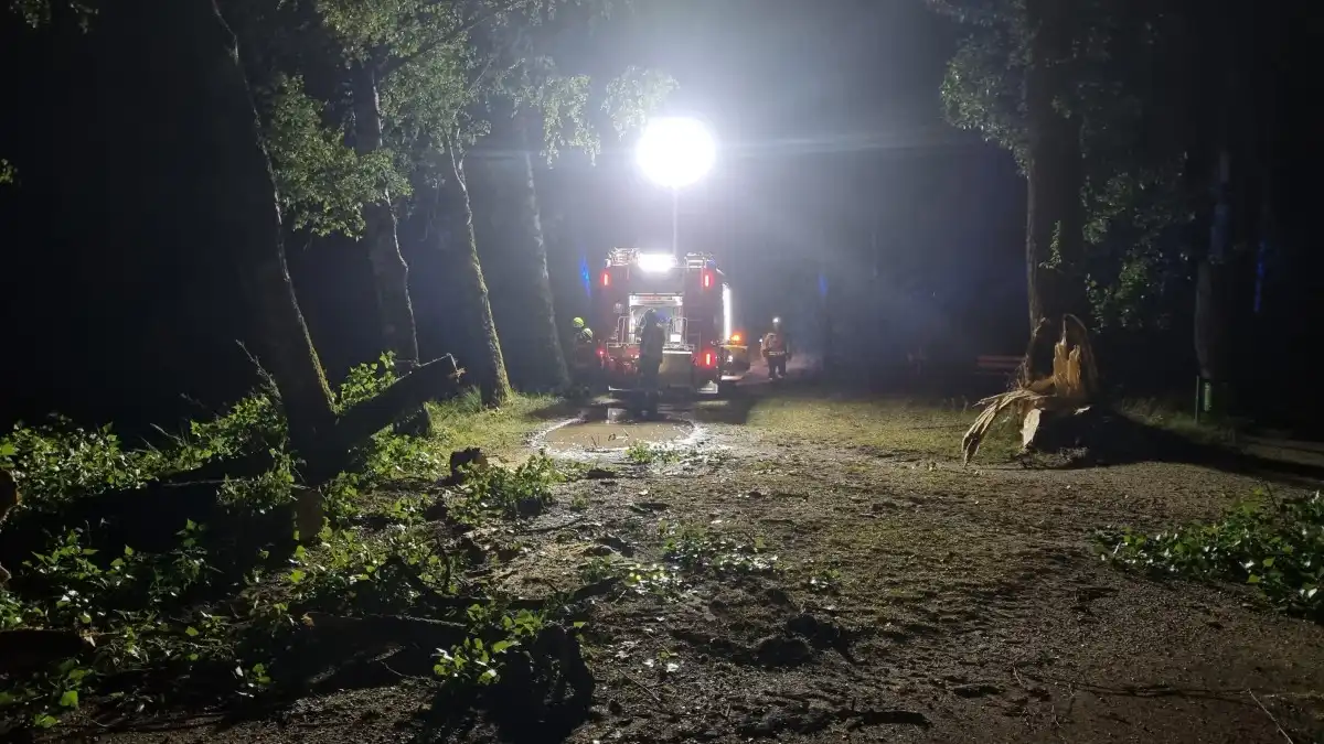 Freiwillige Feuerwehr der Stadt Landshut