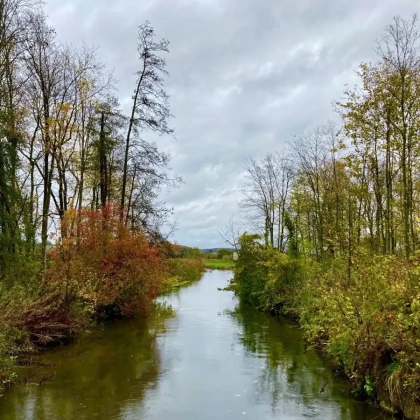 Seltenes Naturjuwel – die Bachmuschel im Klötzlmühlbach