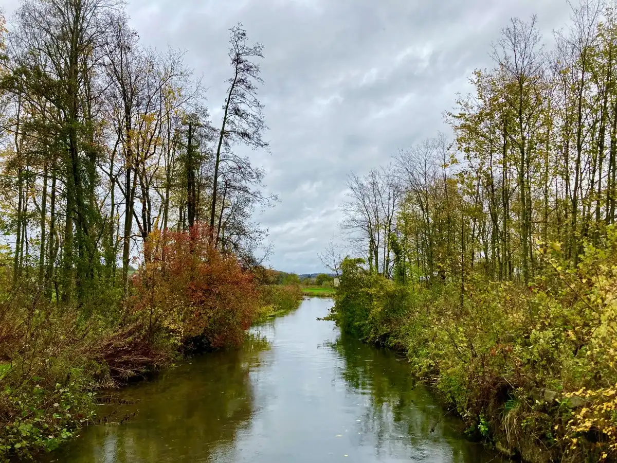 Seltenes Naturjuwel – die Bachmuschel im Klötzlmühlbach