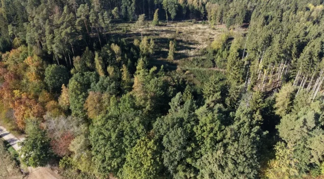 Rodungsarbeiten für den Neubau der Ortsumfahrung Weihmichl beginnen
