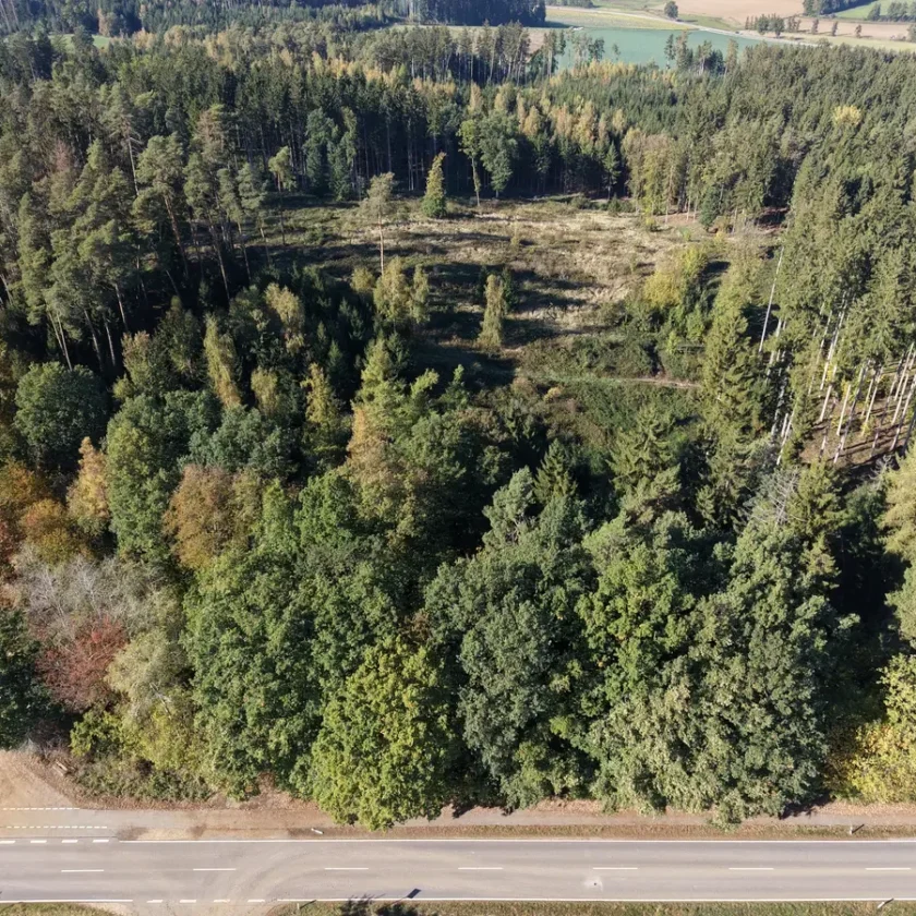 Rodungsarbeiten für den Neubau der Ortsumfahrung Weihmichl beginnen