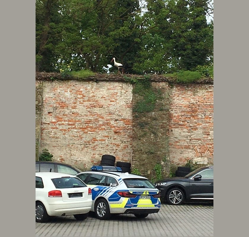 Unterstützung für die Straubinger Polizei – Storch auf Streife