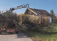 Die Gartenarbeit ruft – Wohin mit dem Grünschnitt?