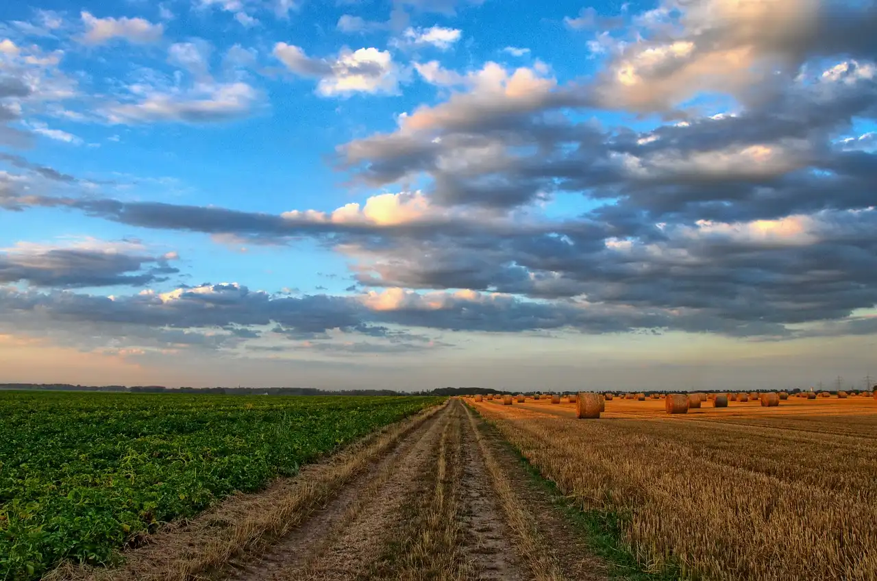 Zukunft Landwirtschaft