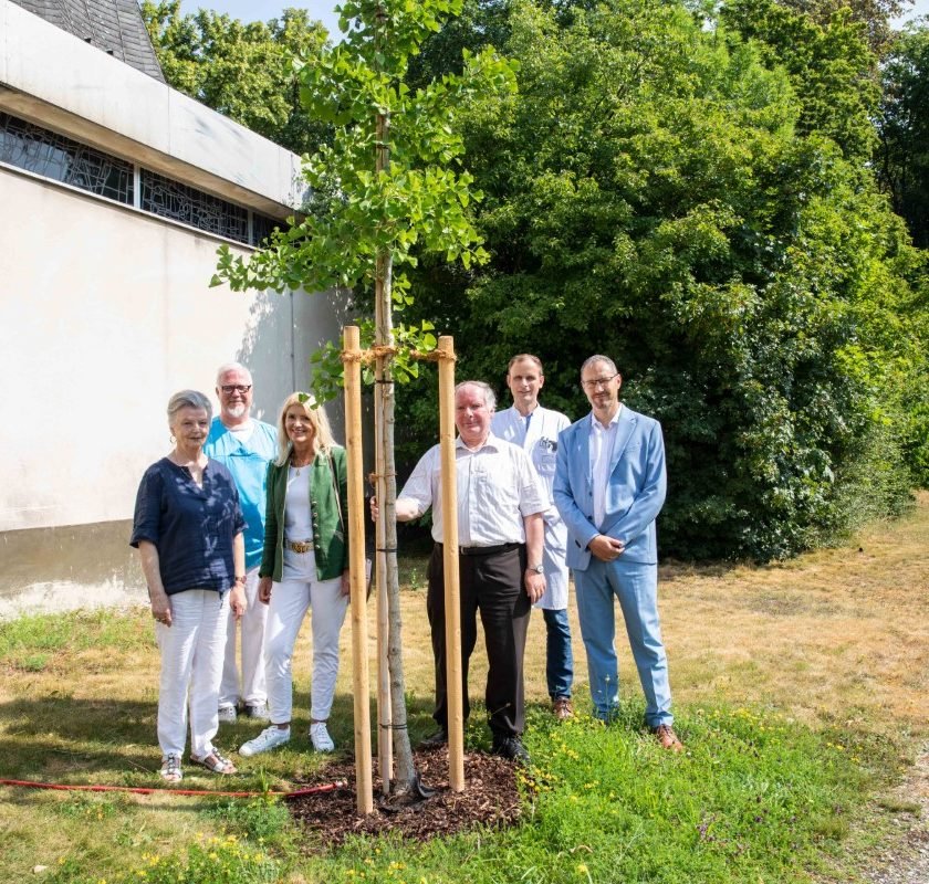 Ein Ginkgobaum für das Klinikum