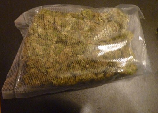 Marihuana - von Kriminalpolizei Landshut sichergestellt