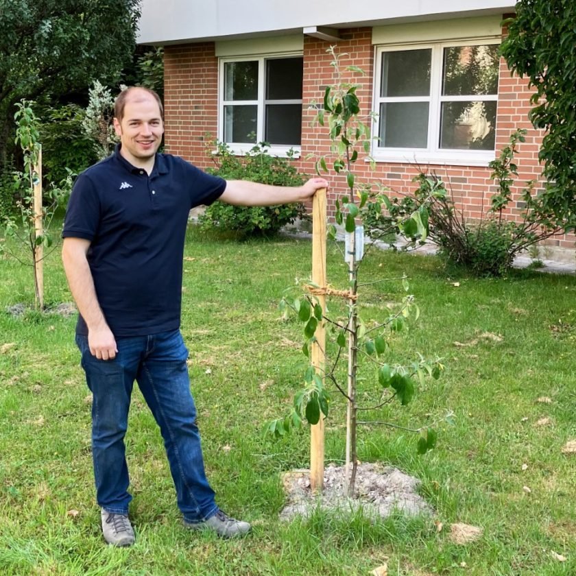 MIT DER PFLANZUNG VON DREI APFELBÄUMEN