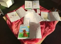 Das Leben der Meerestiere