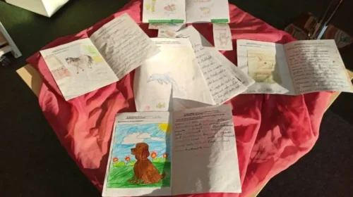 Das Leben der Meerestiere