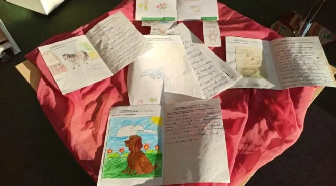 Das Leben der Meerestiere