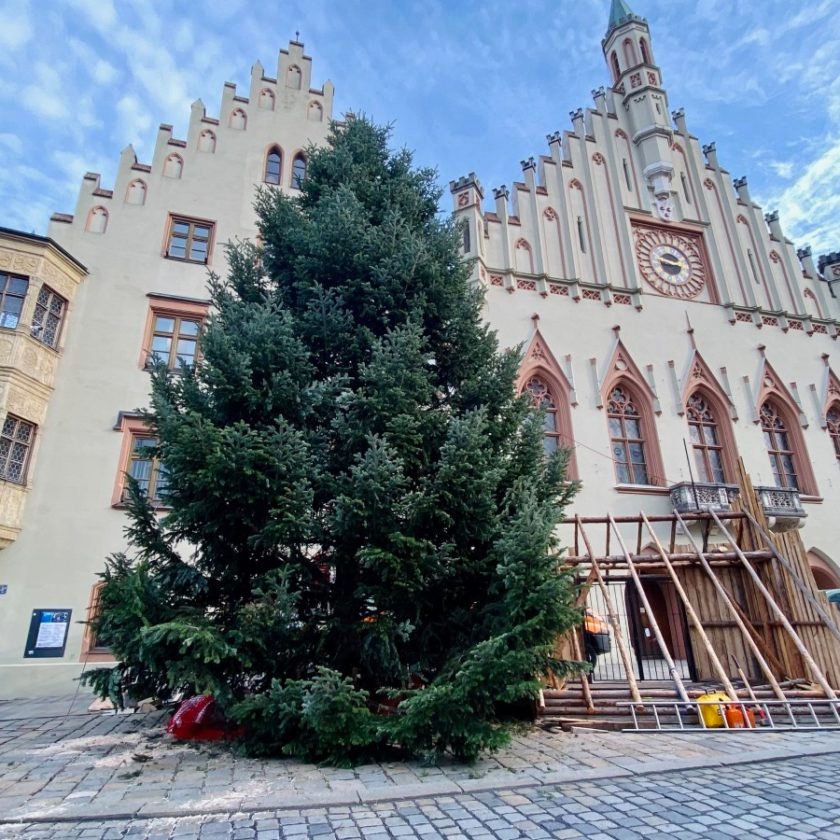 PRACHTVOLLER CHRISTBAUM SCHWEBT VOR DEM RATHAUS