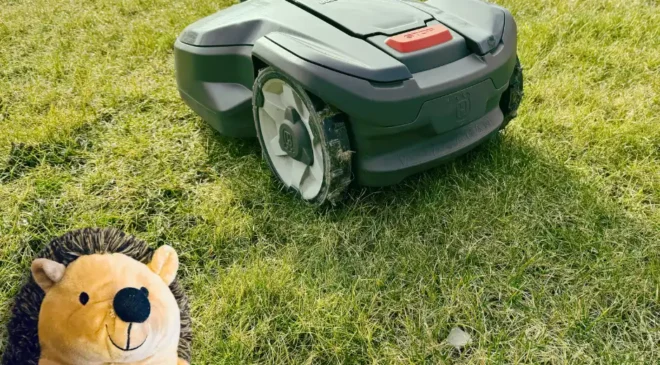 Igel und Co. schützen