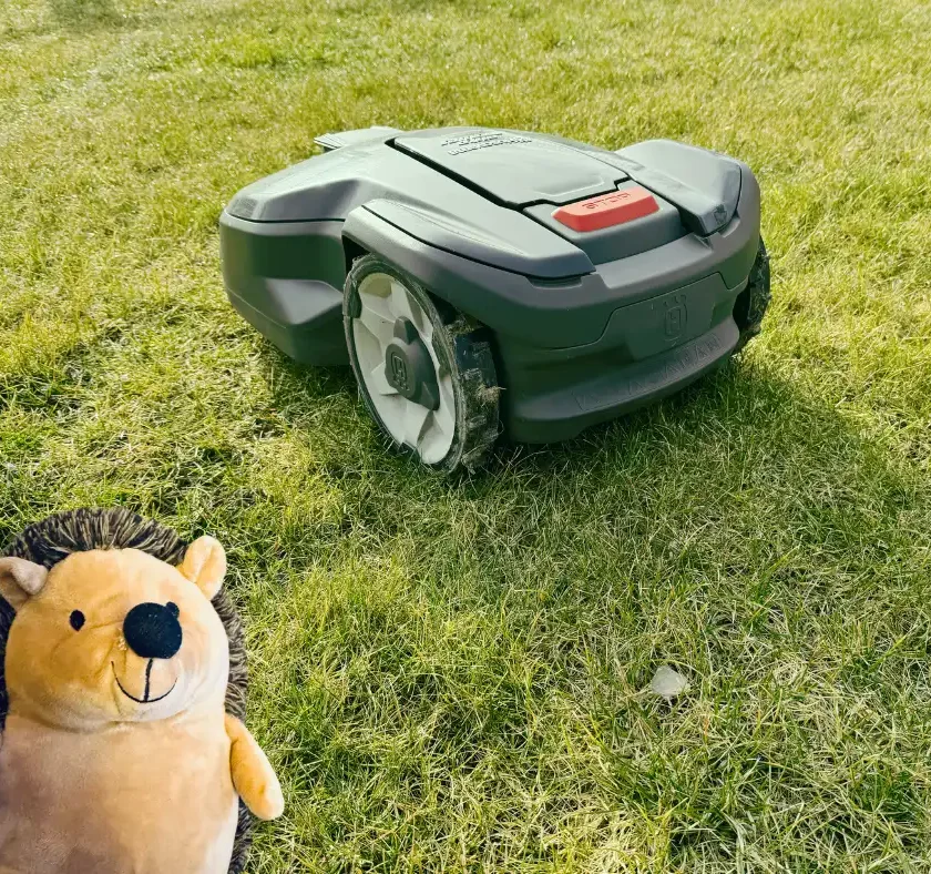 Zum besseren Schutz für Igel und Co.