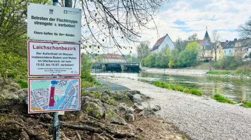 Zum Schutz seltener Fischarten