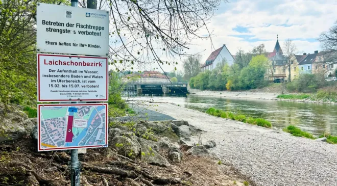 Zum Schutz seltener Fischarten