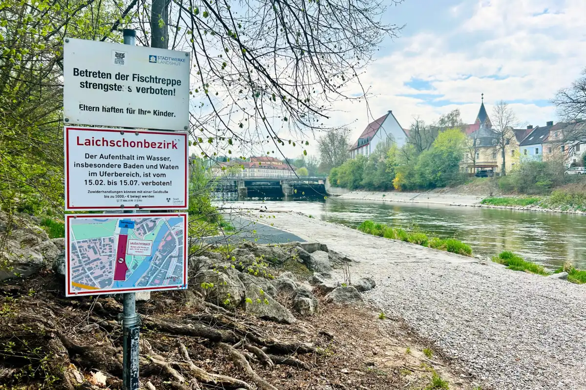 Zum Schutz seltener Fischarten