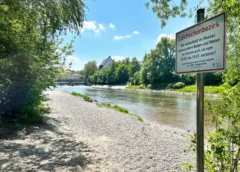 Zum Schutz seltener Fischarten