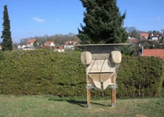 Artenvielfalt fördern