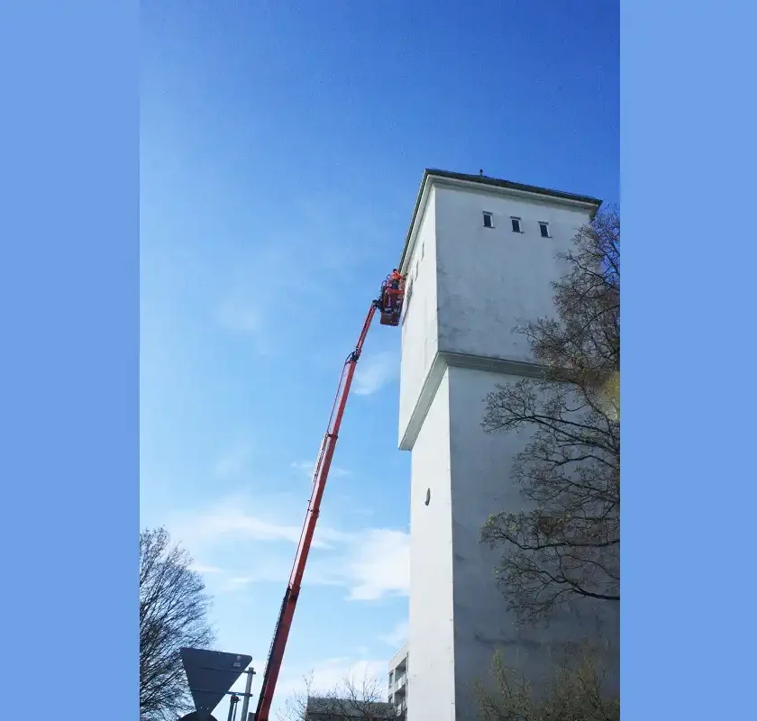 „Leuchtturm“-Projekt für Gebäudebrüter